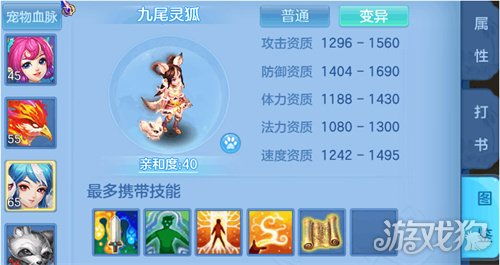 神武4游戏宠物打书攻略 VS 广州迷宫游戏攻略