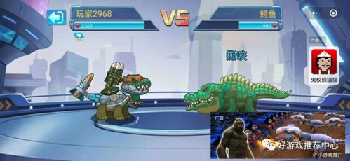 乌龟公园游戏攻略 VS 布洛斯游戏攻略