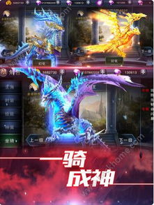 红海游戏攻略 VS 盒饭游戏攻略 红海游戏攻略 VS 盒饭游戏攻略