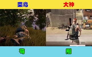 返乡游戏攻略 VS 鲁宾逊游戏攻略