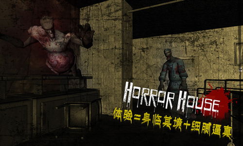 horrorhouse游戏攻略 VS 村庄游戏攻略视频