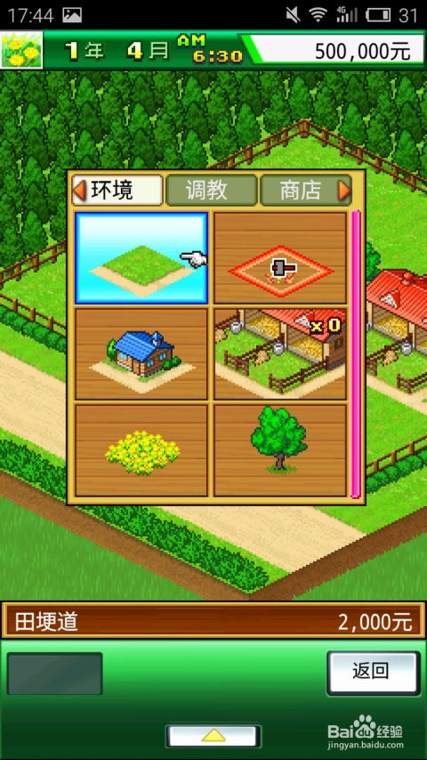 跑马游戏攻略 VS 豆角游戏攻略