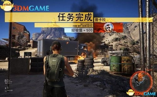 绝杀行动游戏攻略 VS 《边境》游戏攻略