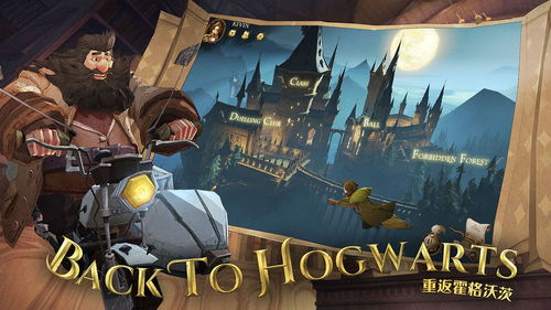 potter游戏攻略 VS 游戏顾北爱游戏攻略