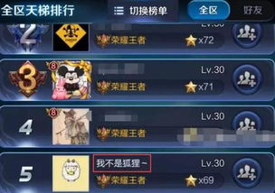 攻略游戏明星 VS 技能达人游戏攻略